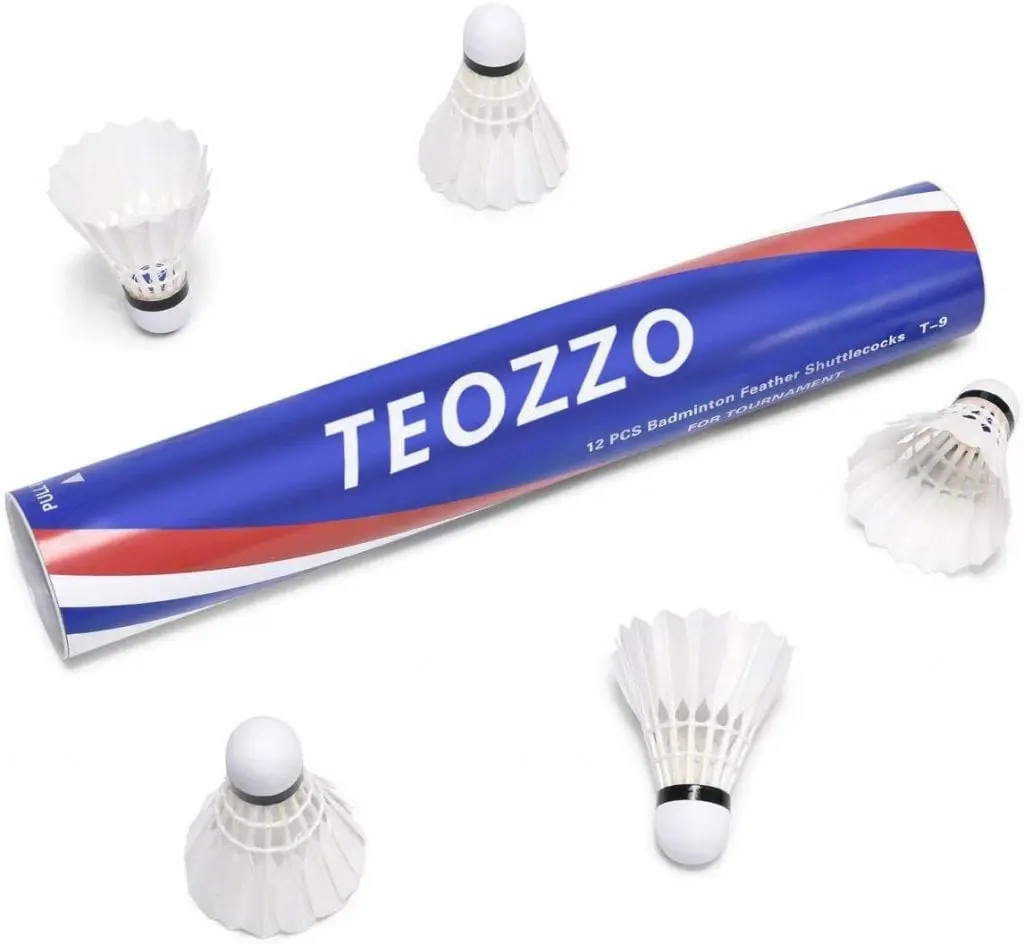 TOP 6 FEATHER BADMINTON SHUTTLECOCKS -