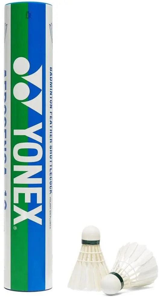 TOP 6 FEATHER BADMINTON SHUTTLECOCKS