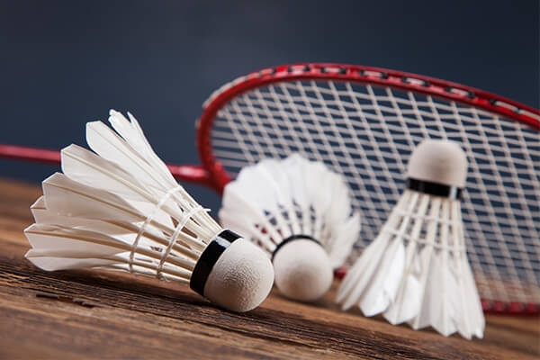 Badminton Rules