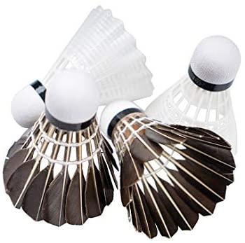 5 Best Portable Badminton Nets - OutdoorsyJimmy